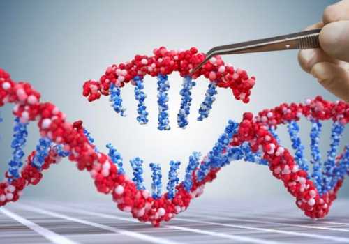 Os Melhores Apps para Teste de DNA: Descubra Suas Raízes Genéticas