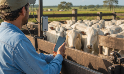 Balança para Gado: Use seu Celular