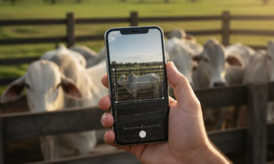 Transforme seu Celular em Balança de Gado